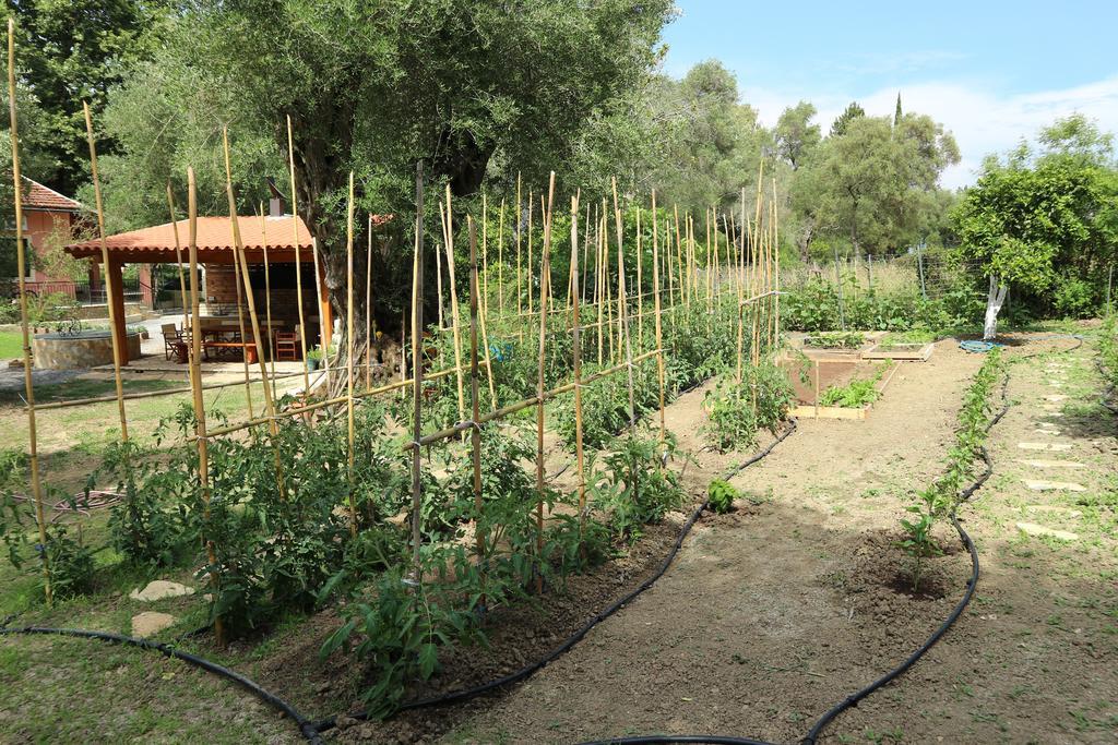 Villa Magia Ypsos Exteriér fotografie